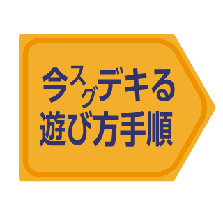 ���X�O�f�L��V�ѕ��菇